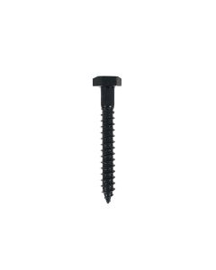 Black Stainless 2" x 1/4 Hex Head Lag Screw, Box 25