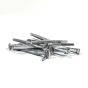 Hinge Nail-3" 10d-1 Pound