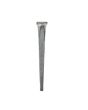 Common Nail Sample